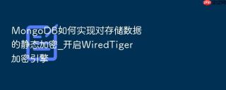 mongodb如何实现对存储数据的静态加密_开启wiredtiger加密引擎