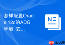 怎样配置Oracle 12c的ADG环境_安装主备库并同步日志流