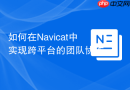 如何在Navicat中实现跨平台的团队协作_利用Navicat在Win/Mac/Linux的兼容性