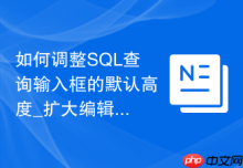 如何调整SQL查询输入框的默认高度_扩大编辑区域以方便编写长段复杂代码