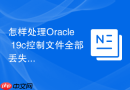 怎样处理Oracle 19c控制文件全部丢失_从自动备份中还原CONTROLFILE