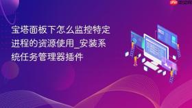 宝塔面板下怎么监控特定进程的资源使用_安装系统任务管理器插件
