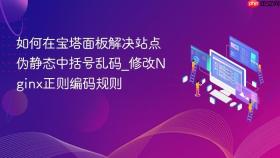 如何在宝塔面板解决站点伪静态中括号乱码_修改nginx正则编码规则