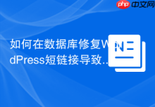 如何在数据库修复WordPress短链接导致的404错误_Rewrite rules重写