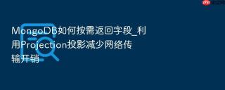 mongodb如何按需返回字段_利用projection投影减少网络传输开销