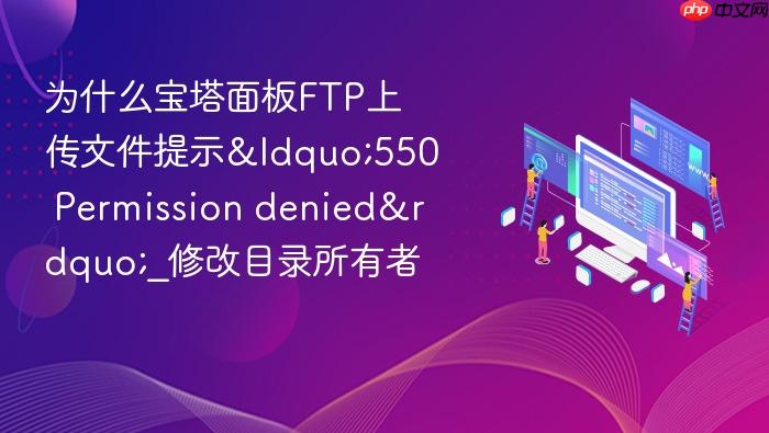 为什么宝塔面板ftp上传文件提示“550 permission denied”_修改目录所有者