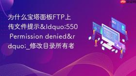 为什么宝塔面板ftp上传文件提示“550 permission denied”_修改目录所有者