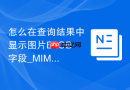 怎么在查询结果中显示图片BLOB字段_MIME转换预览