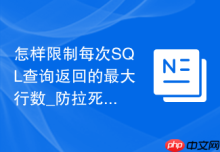怎样限制每次SQL查询返回的最大行数_防拉死数据库与泄露