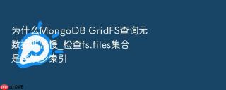 为什么mongodb gridfs查询元数据非常慢_检查fs.files集合是否缺少索引