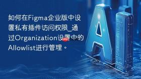如何在figma企业版中设置私有插件访问权限_通过organization设置中的allowlist进行管理。