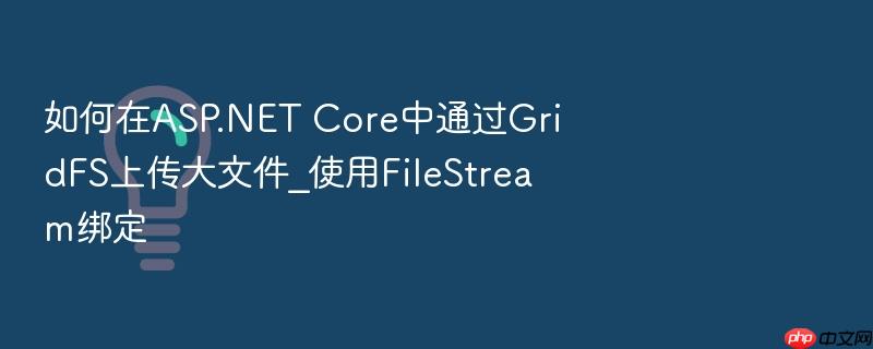 如何在asp.net core中通过gridfs上传大文件_使用filestream绑定