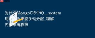 为什么mongodb中的__system用户角色不能手动分配_理解内部系统权限