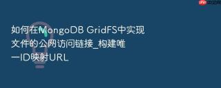 如何在mongodb gridfs中实现文件的公网访问链接_构建唯一id映射url