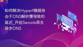 如何解决hyperf微服务由于dns解析慢导致的延迟_开启swoole原生异步dns