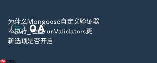 为什么mongoose自定义验证器不执行_检查runvalidators更新选项是否开启