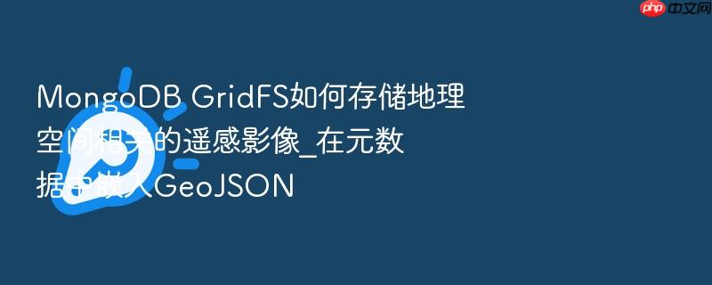 mongodb gridfs如何存储地理空间相关的遥感影像_在元数据中嵌入geojson