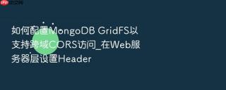 如何配置mongodb gridfs以支持跨域cors访问_在web服务器层设置header