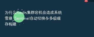 为什么redis集群宕机会造成系统雪崩_sentinel自动切换与多级缓存构建
