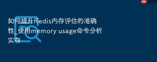 如何提升redis内存评估的准确性_使用memory usage命令分析实存