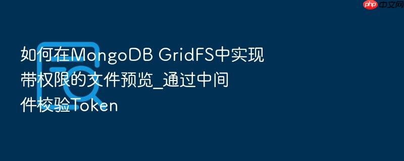 如何在mongodb gridfs中实现带权限的文件预览_通过中间件校验token