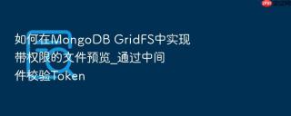 如何在mongodb gridfs中实现带权限的文件预览_通过中间件校验token
