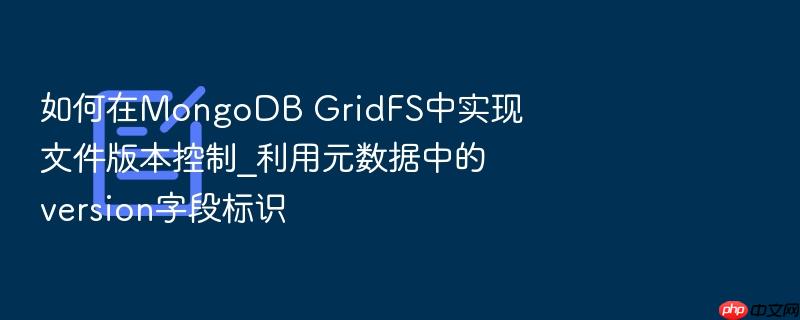 如何在mongodb gridfs中实现文件版本控制_利用元数据中的version字段标识