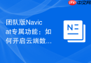 团队版Navicat专属功能：如何开启云端数据加密保护_核心机制解析