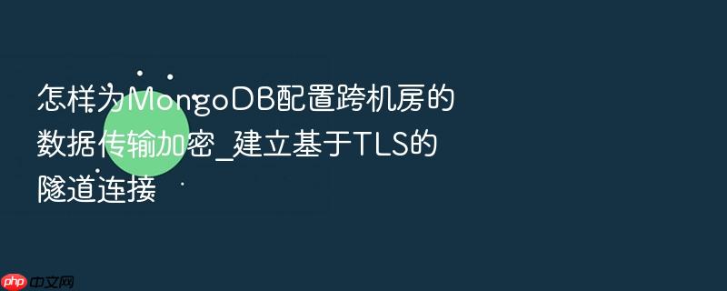 怎样为mongodb配置跨机房的数据传输加密_建立基于tls的隧道连接