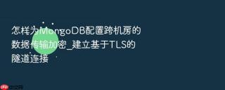 怎样为mongodb配置跨机房的数据传输加密_建立基于tls的隧道连接