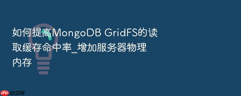 如何提高mongodb gridfs的读取缓存命中率_增加服务器物理内存