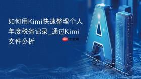 如何用kimi快速整理个人年度税务记录_通过kimi文件分析