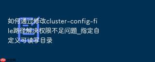 如何通过修改cluster-config-file路径解决权限不足问题_指定自定义可读写目录