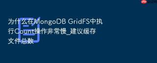 为什么在mongodb gridfs中执行count操作非常慢_建议缓存文件总数