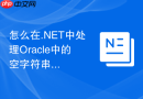 怎么在.NET中处理Oracle中的空字符串与NULL的差异_在数据访问层进行逻辑校验
