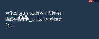 为什么redis 5.x版本不支持客户端缓存防击穿_对比6.x新特性优化点