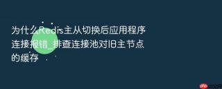 为什么redis主从切换后应用程序连接报错_排查连接池对旧主节点的缓存