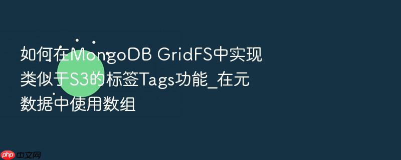 如何在mongodb gridfs中实现类似于s3的标签tags功能_在元数据中使用数组