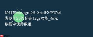 如何在mongodb gridfs中实现类似于s3的标签tags功能_在元数据中使用数组