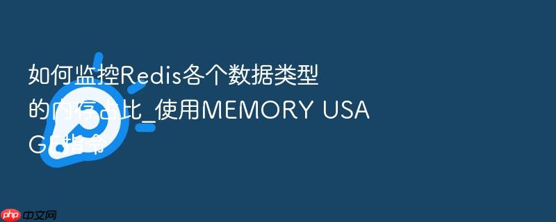 如何监控redis各个数据类型的内存占比_使用memory usage指令