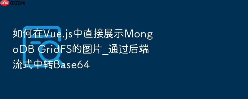 如何在vue.js中直接展示mongodb gridfs的图片_通过后端流式中转base64
