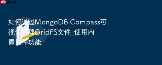 如何通过mongodb compass可视化管理gridfs文件_使用内置插件功能