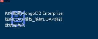 如何配置mongodb enterprise版的ldap授权_映射ldap组到数据库角色
