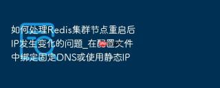 如何处理Redis集群节点重启后IP发生变化的问题_在配置文件中绑定固定DNS或使用静态IP