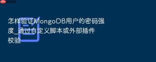 怎样验证mongodb用户的密码强度_通过自定义脚本或外部插件校验