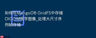如何在mongodb gridfs中存储dicom医学图像_处理大尺寸序列帧存储