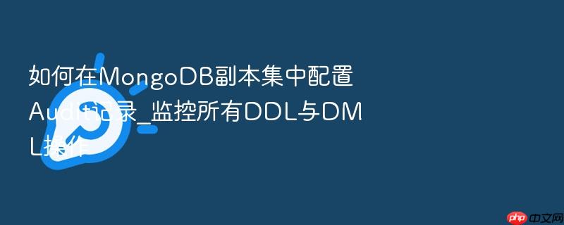 如何在mongodb副本集中配置audit记录_监控所有ddl与dml操作