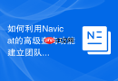 如何利用Navicat的高级查询功能建立团队共享的代码片段库？