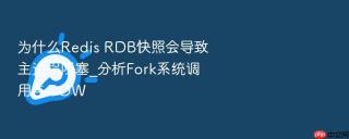 为什么redis rdb快照会导致主进程阻塞_分析fork系统调用与cow