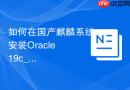 如何在国产麒麟系统安装Oracle 19c_通过设置操作系统发行版标识